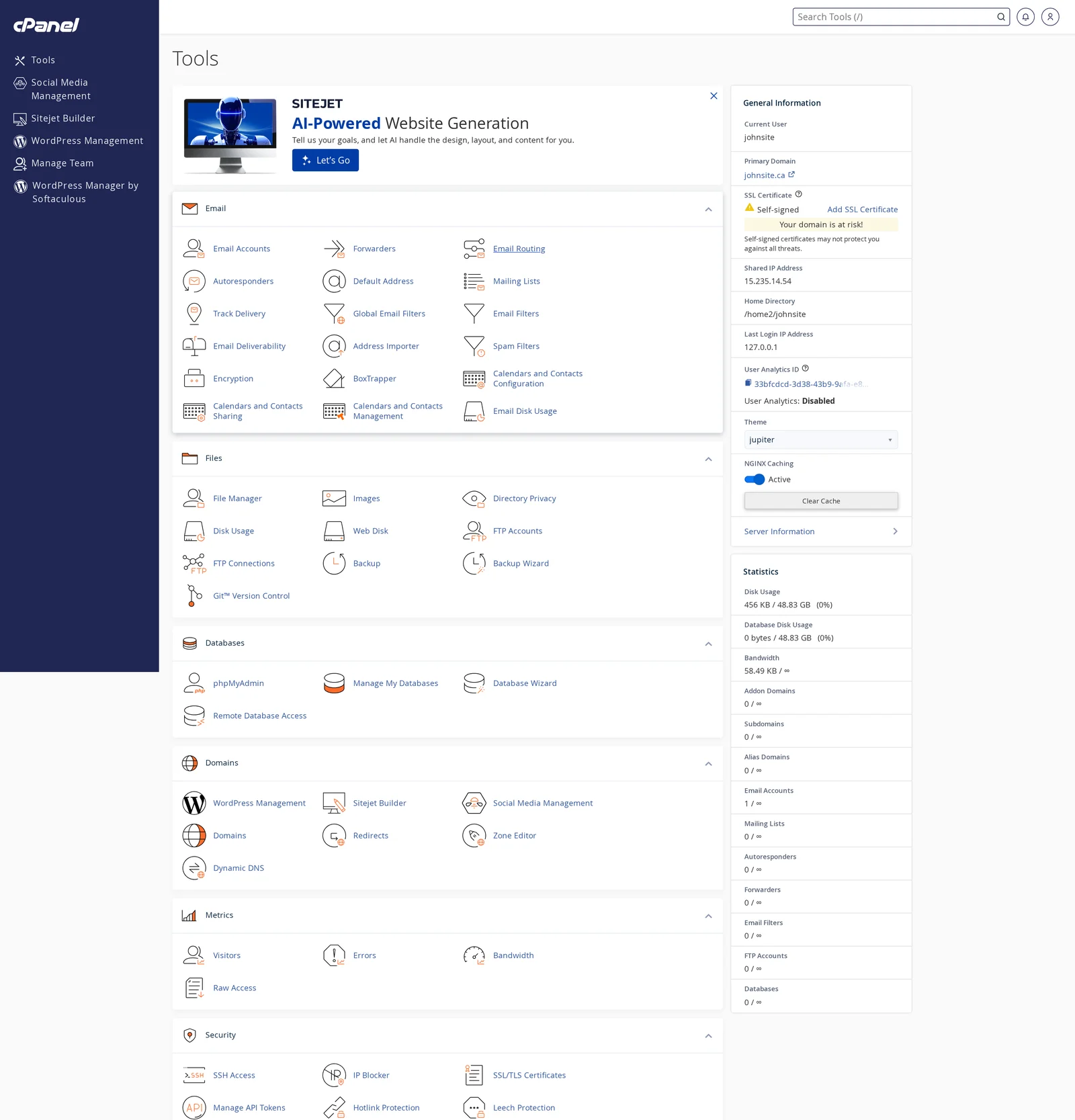 cPanel home page with Email, Files, Databases, Domains, Metrics, and Security sections visible