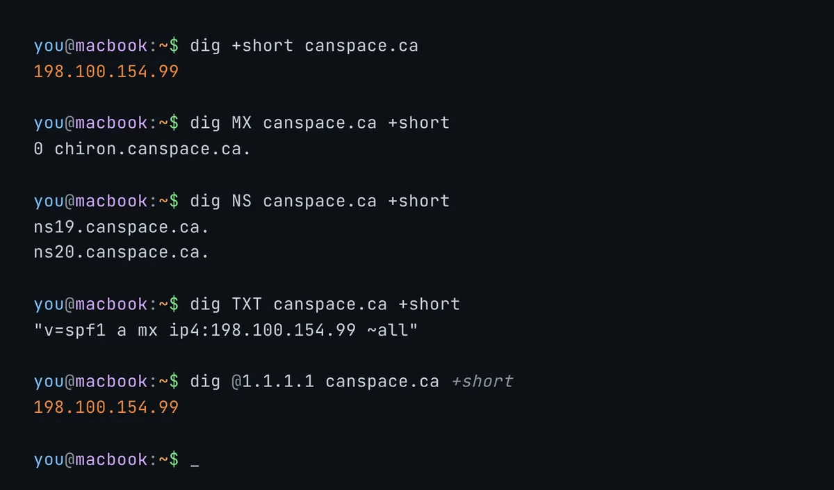 Terminal output showing several dig commands and their responses for canspace.ca