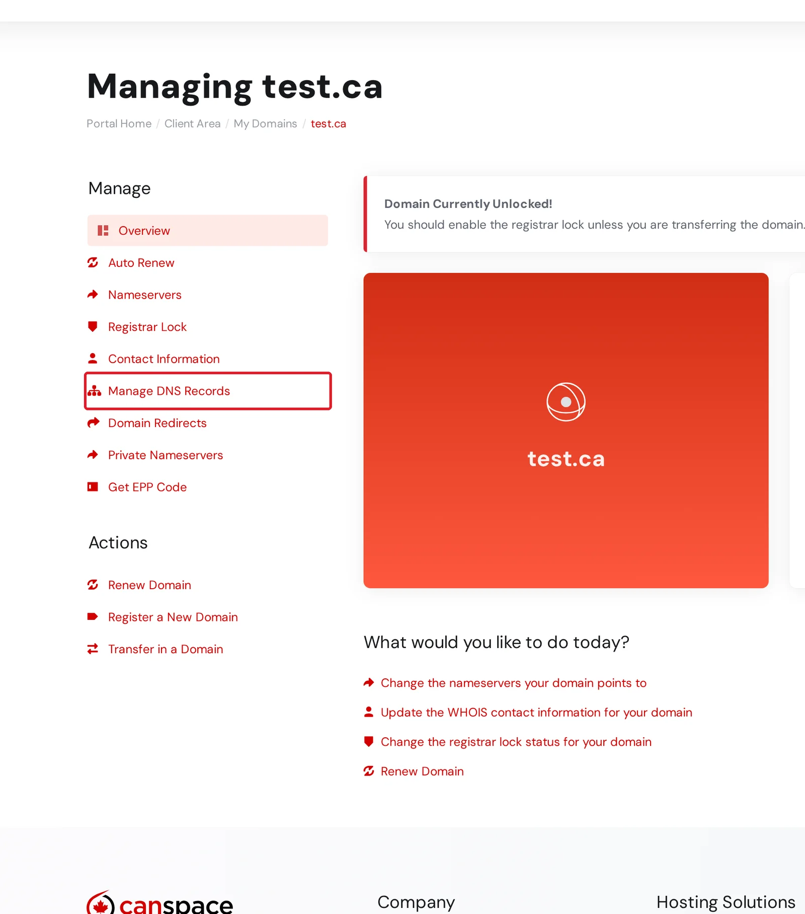 The Manage menu for a domain with Manage DNS Records highlighted