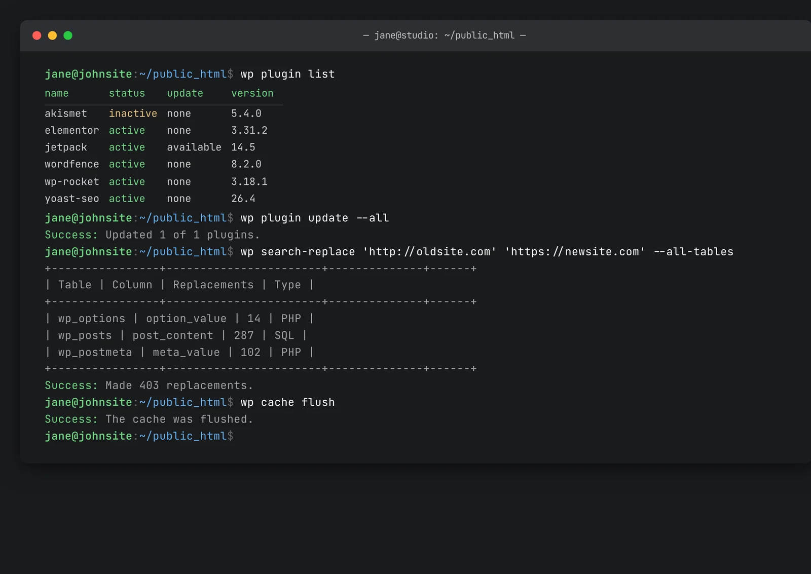 Terminal session showing WP-CLI commands: wp plugin list, wp plugin update, wp search-replace, wp cache flush