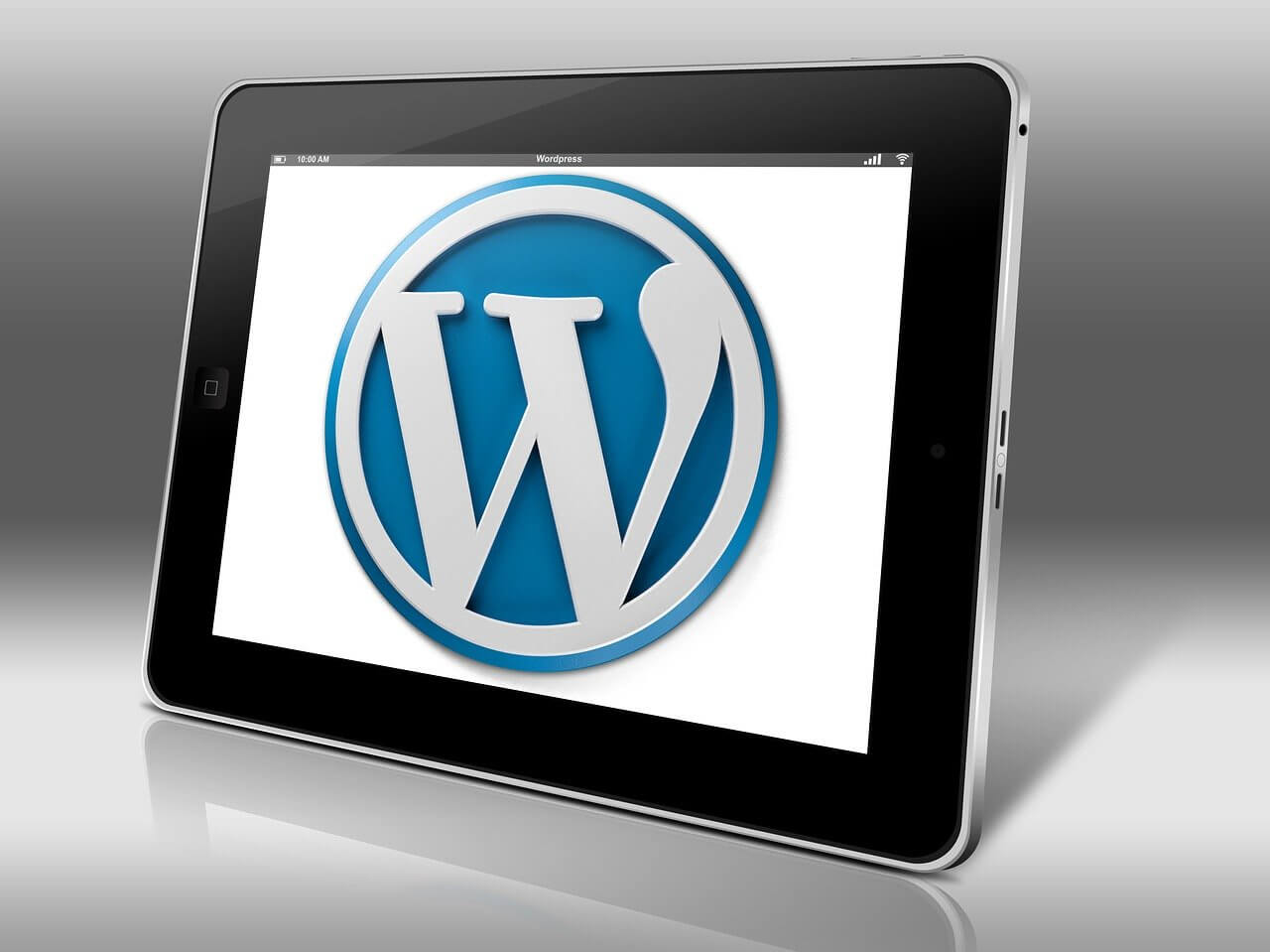 Wordpress Vs Wix And SquareSpace Why Wordpress Is Better Canada s